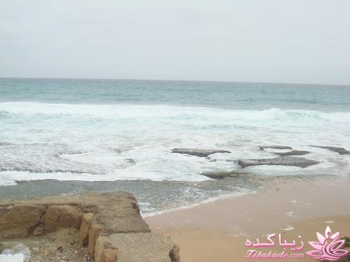 عکـــــــــــــــــس های گرفته شده در سفـــــــر